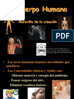 El Cuerpo Humano