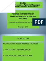 Propagacion de Frutales