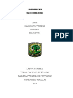 Download jurnal bakso by Diah Dluph SN133243606 doc pdf