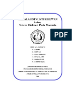 Download Makalah Sistem Ekskresi Pada Manusia by aclumut SN133256071 doc pdf