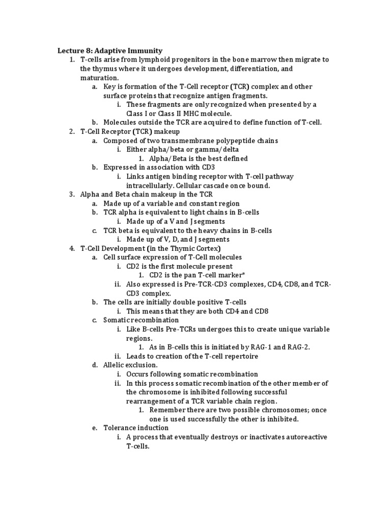 Lecture 8: Adaptive Immunity | PDF | T Cell | Major Histocompatibility ...