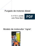 Purgado de Motores Diesel