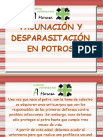 Vacunacion y Desparasitacion en Potros