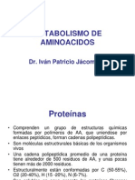 Protein Aminoacidos