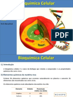 Bioquimica Aula