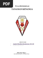 Download Determinasi Kenanga by AngelaMonalisaKurniawan SN133303857 doc pdf