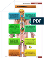 Grafik Anatomi
