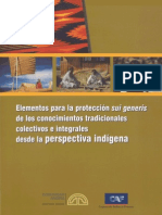 CAN. Elementos para protección sui generis de concimientos tradicionales colectivos e integrales desde la perspectiva indígena