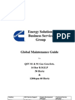 QSV Gas Gen-Set Maintenance Guide