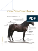 medidas de caballos.pdf