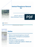 Chemical Phosphorus Removal 101 - Johnson