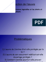 Protection de Loeuvre11