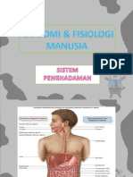 Anatomi Dan Fisiologi Manusia - Digestive Sistem Sistem Pencernaan