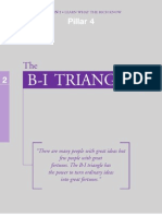 Pillar 4 - The B-I Triangle