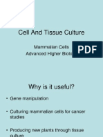 Cell and Tissue Culture