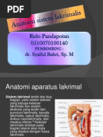 Anatomi Sistem Lakrimalis