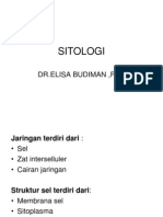 SITOLOGI