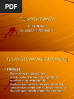 Download TULANG RAWAN by Andi Nurcahaya SN133381842 doc pdf