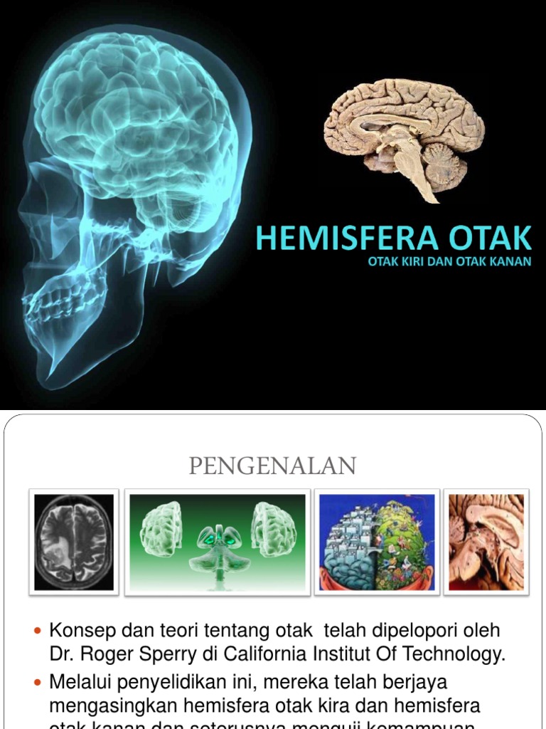 Otak | PDF
