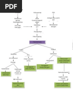 Pengkajian Bayi Baru Lahir