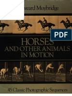 Eadweard Muybridge Horses and Other Animals in Motion