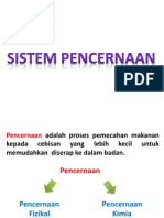 Pencernaan 