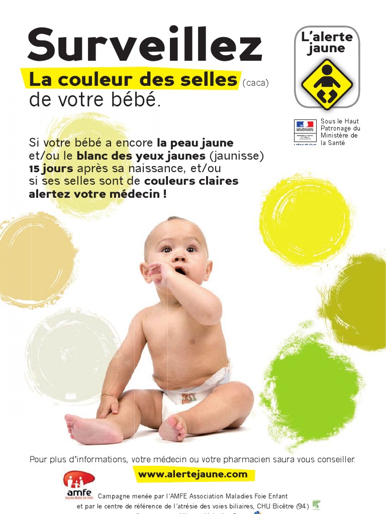 Depliant Alerte Jaune Campagne Info Pour Le Depistage Des Maladies Du Foie Chez Les Bebes Pdf Allaitement Specialites Medicales