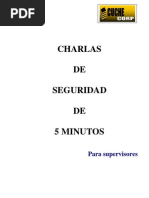 Charla de 5 Minutos.pdf
