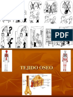 Tejido Oseo (1ra Parte)