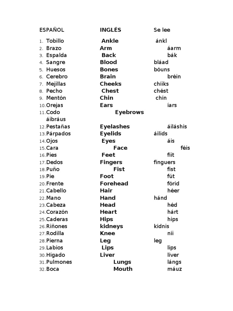 Partes Del Cuerpo Humano En Ingles