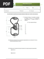 Teste-sistema respiratório (com correcção)