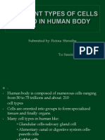 Different Types of Cells Found in Human Body