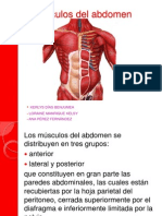 Músculos abdominales: grupos, funciones y descripción