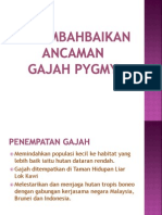 Penambahbaikan Gajah