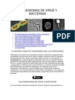 .CROMOSOMAS DE VIRUS Y BACTERIAS.docx