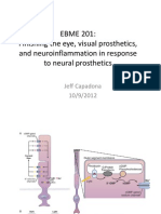 EBME 201: Finishing The Eye, Visual Prosthetics, and Neuroinflammation in Response To Neural Prosthetics