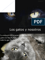 Los Gatos y Nosotros