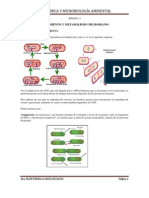 Metoodos Directtos El Weno