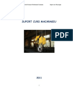 Suport Curs Macaragiu PDF