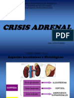 Crisis Adrenal