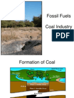 Fossil Fuels Coal Industry