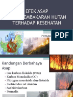 Bahaya Asap Hasil Pembakaran Hutan Terhadap Kesehatan