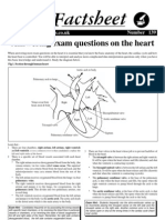 Bio Factsheet: Answering Exam Questions On The Heart