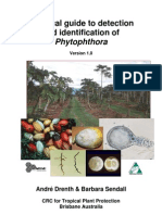 Drenth Phytophthora Practical Guide9