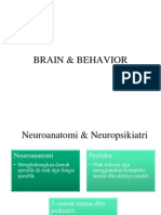 Brain & Behavior