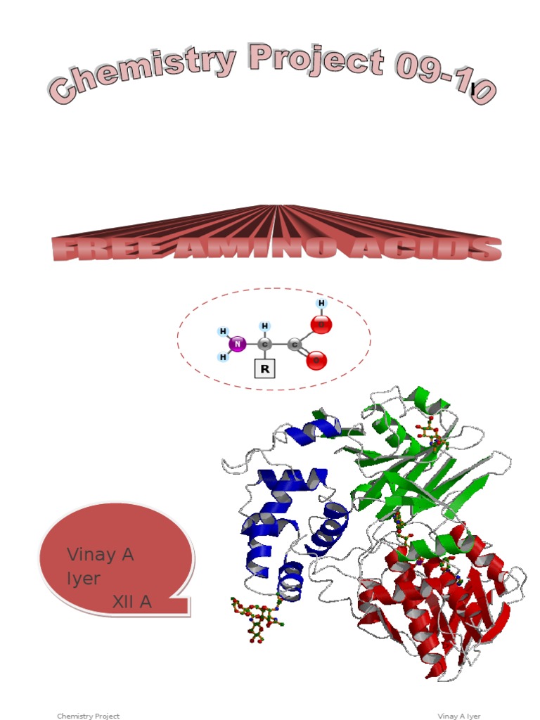Chemistry Project Amino Acid Biosynthesis