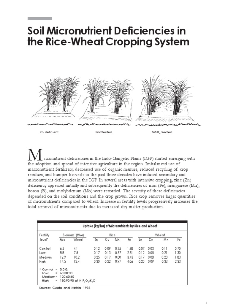 Soil Micronutrient Deficiencies in the Rice-wheat Cropping System ...