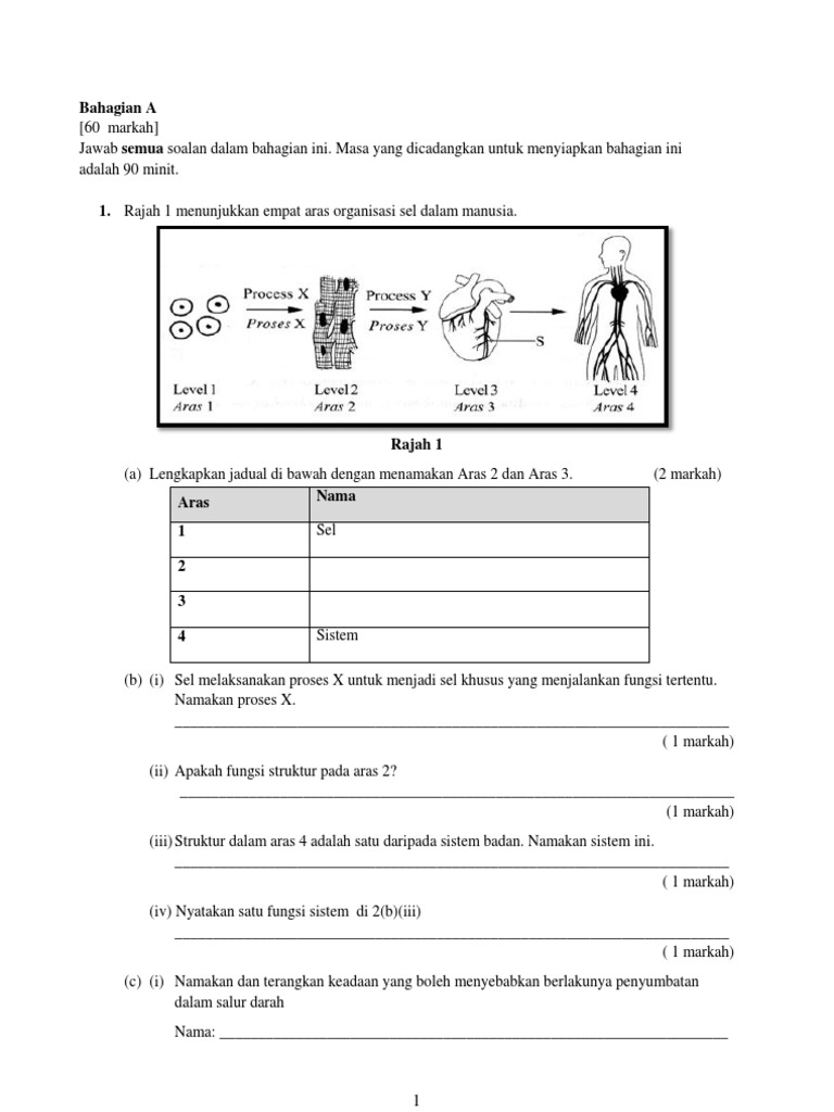 Soalan Kbat Biologi Tingkatan 4 Bab 2  Ououiouiouo