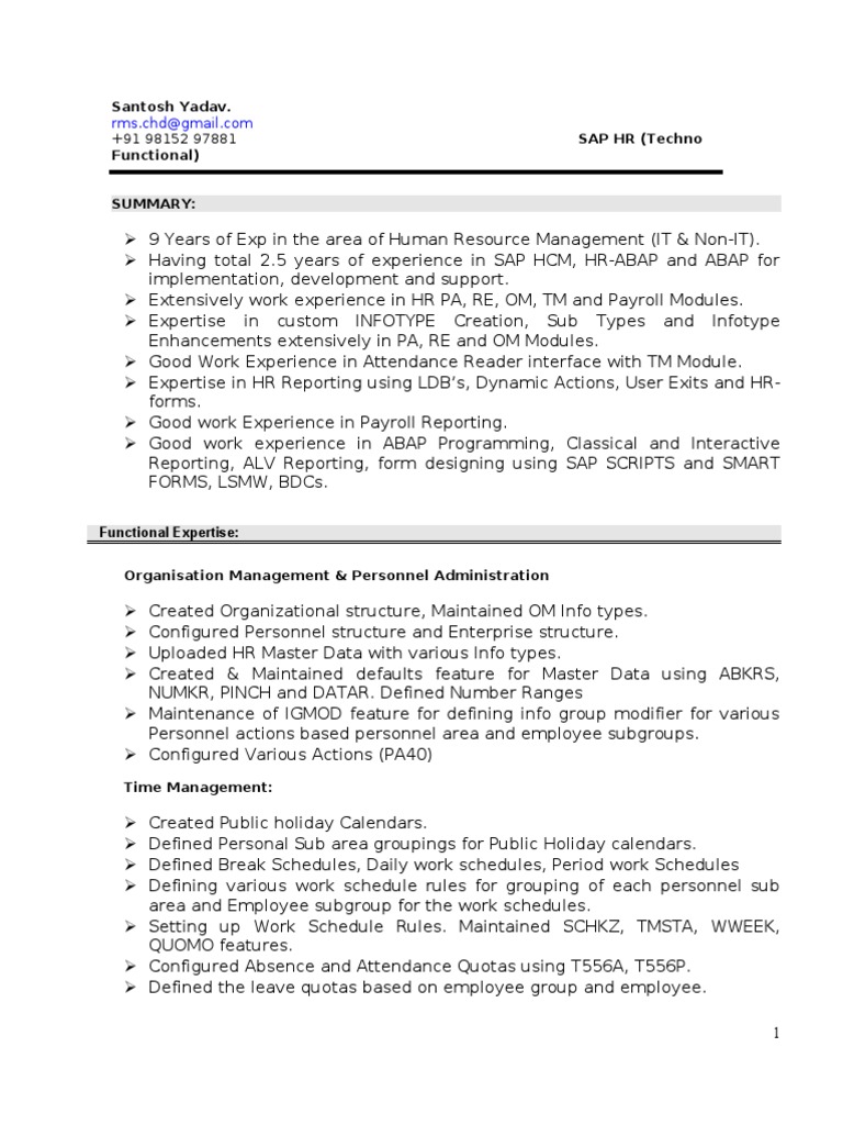 SAP HCM Resume doc Payroll Enterprise Resource Planning