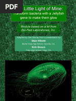 Download pGLO Lab Background Information by klipp182174 SN13360838 doc pdf